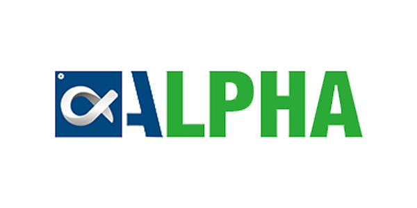 Company name