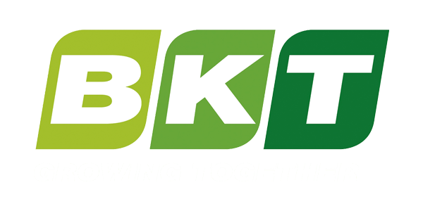 Company name